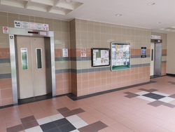 Blk 160 Pasir Ris Street 13 (Pasir Ris), HDB Executive #288870301